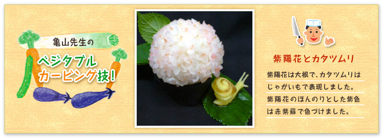 紫陽花とカタツムリ 紫陽花は大根で、カタツムリはじゃがいもで表現しました。紫陽花のほんのりとした紫色は赤紫蘇で色づけました。 紫陽花とカタツムリ 紫陽花は大根で、カタツムリはじゃがいもで表現しました。紫陽花のほんのりとした紫色は赤紫蘇で色づけました。
