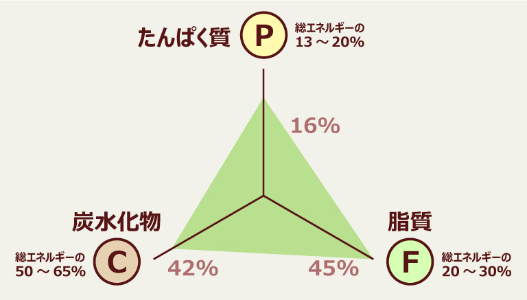 たんぱく質（P）16% 脂質（F）45% 炭水化物（C）42%