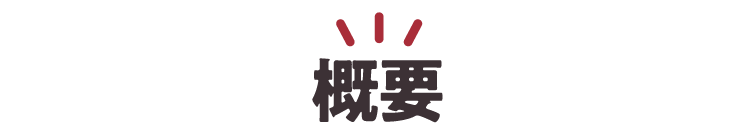 概要