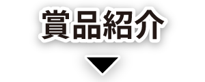 賞品紹介