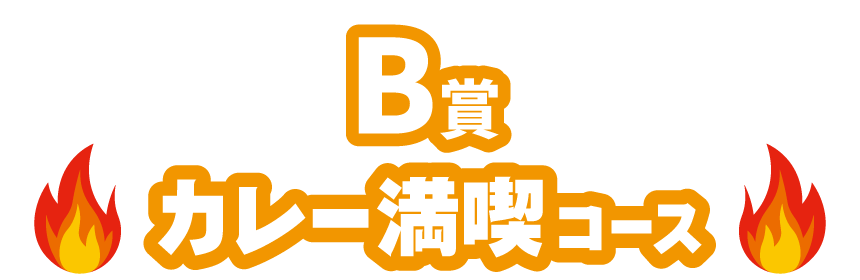 B賞 カレー満喫コース