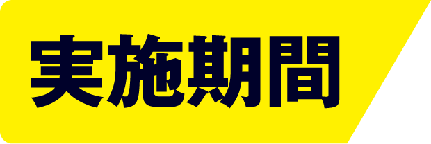 実施期間