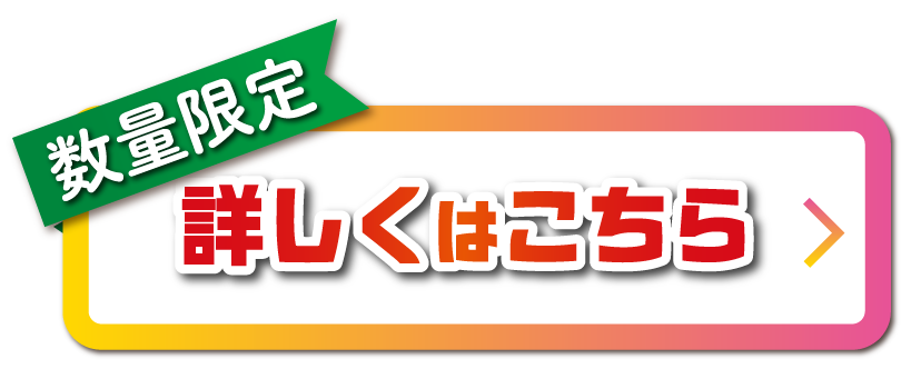 数量限定 詳しくはこちら