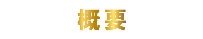 概要
