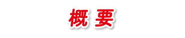 概要