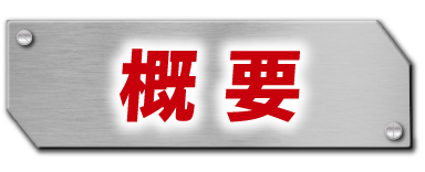 概要