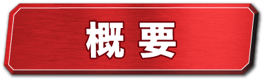 概要