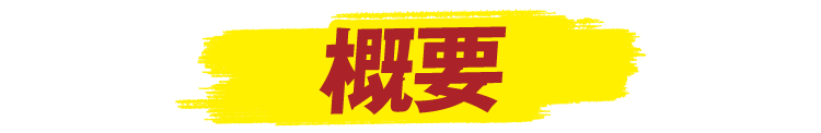 概要