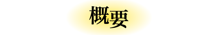 概要