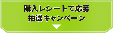 購入レシートで応募 抽選キャンペーン