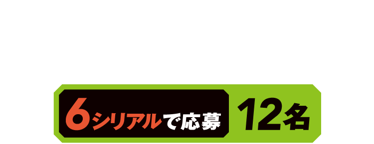 選手直筆サイン入りユニフォーム 6シリアルで応募 12名