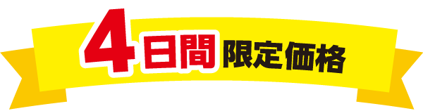 4日間限定価格