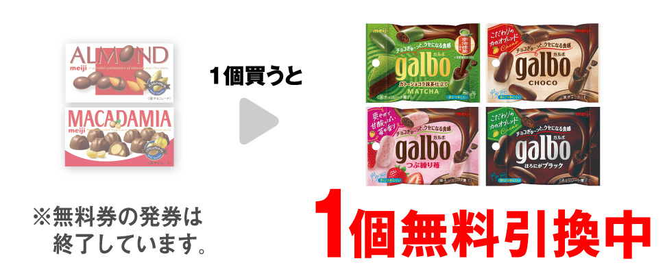 「明治 アーモンドチョコレート」または「明治 マカダミアチョコレート」を1個買うと、「明治 ガルボ ガトーショコラ抹茶 ポケットパック」「明治 ガルボ チョコ ポケットパック」「明治 ガルボ つぶ練り苺 ポケットパック」「明治 ガルボ ブラック ポケットパック」いずれか1個無料引換中 ※無料券の発券は終了しています。