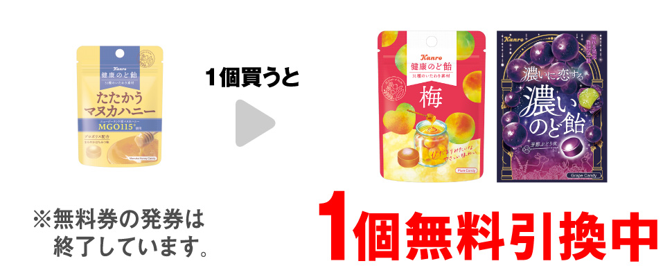 「カンロ 健康のど飴 たたかうマヌカハニー 小袋」を1個買うと、「カンロ 健康のど飴 梅 小袋」または「カンロ 濃いに恋する濃いのど飴 芳醇ぶどう味 小袋」1個無料引換中 ※無料券の発券は終了しています。