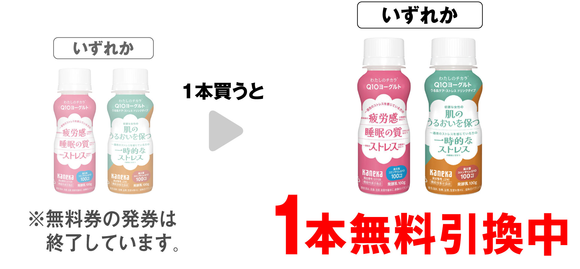 「わたしのチカラ Q10ヨーグルト ドリンク」「わたしのチカラ Q10 うる肌ストレス 100g」いずれか1本買うと、同商品1本無料引換中 ※無料券の発券は終了しています。
