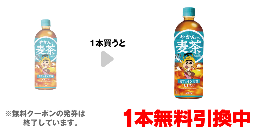 対象商品を買うと無料クーポンプレゼント！現在実施中のプライチは