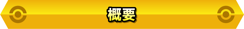 概要