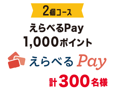 ２個コース えらべるPay 1000ポイント 計300名様