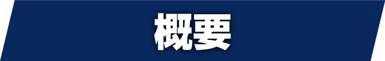 概要