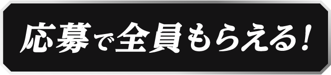 応募で全員もらえる！