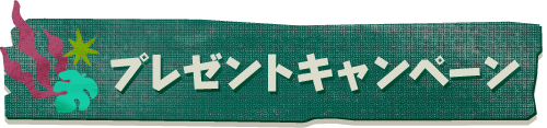 プレゼントキャンペーン