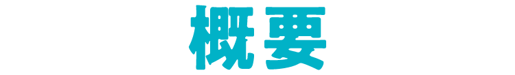 概要