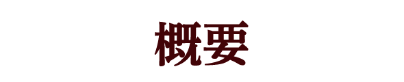 概要