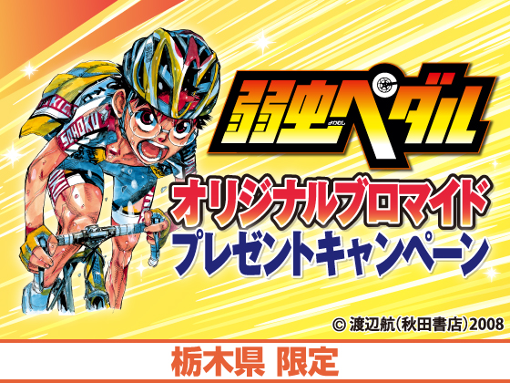 弱虫ペダルキャンペーン実施中！