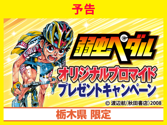 予告★弱虫ペダルキャンペーン