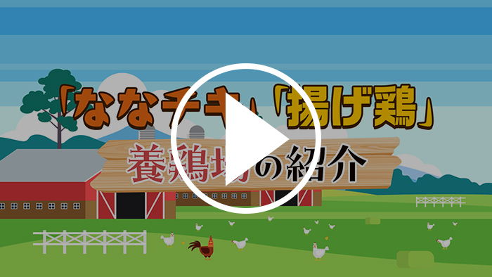 養鶏場のご紹介 YouTubeで見る