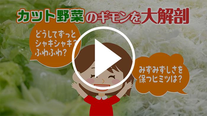 カット野菜 YouTubeで見る