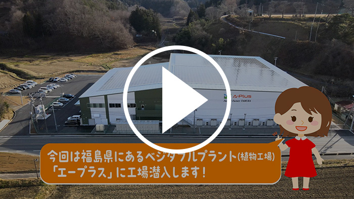 ベジタブルプラント（植物工場）紹介 YouTubeで見る