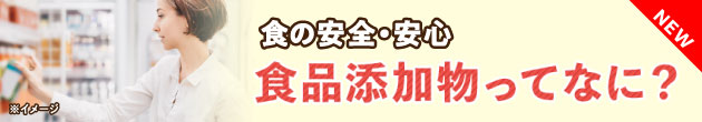 食の安全・安心 食品添加物ってなに?