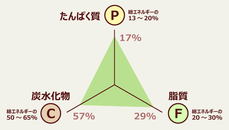 たんぱく質（P）17% 脂質（F）29% 炭水化物（C）57%