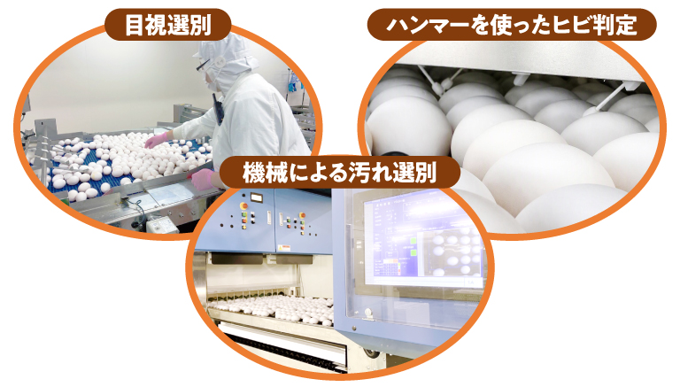 目視選別、ハンマーを使ったヒビ判定、機械による汚れ選別