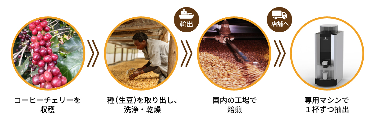 コーヒーチェリーを収穫 → 種（生豆）を取り出し、洗浄・乾燥 →（輸出） 国内の工場で焙煎 →（店舗へ）専用マシンで1杯ずつ抽出