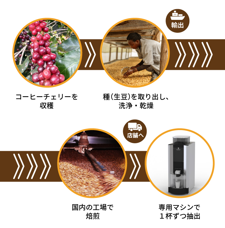 コーヒーチェリーを収穫 → 種（生豆）を取り出し、洗浄・乾燥 →（輸出） 国内の工場で焙煎 →（店舗へ）専用マシンで1杯ずつ抽出