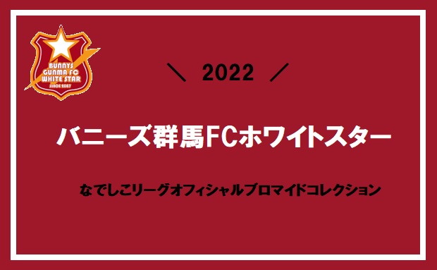 バニーズ群馬ｆｃホワイトスター コンテンツプリント セブン イレブン 近くて便利
