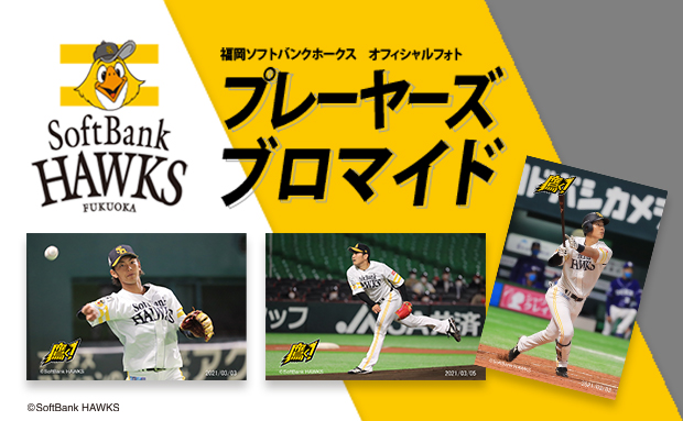 21年度 福岡ソフトバンクホークス プレイヤーズブロマイド セブン イレブン 近くて便利
