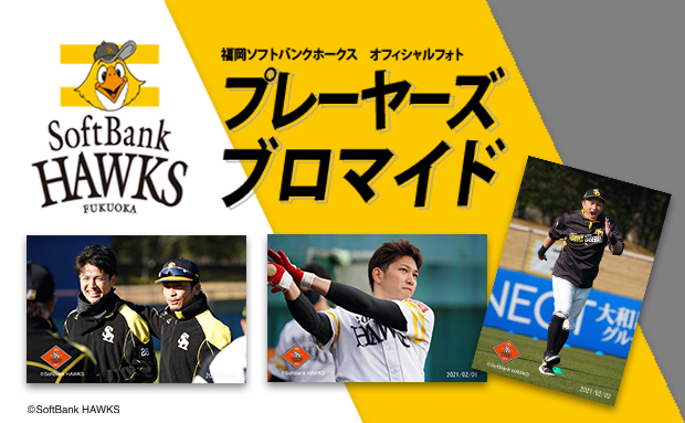 21年度 福岡ソフトバンクホークス プレイヤーズブロマイド キャンプ オープン戦 セブン イレブン 近くて便利