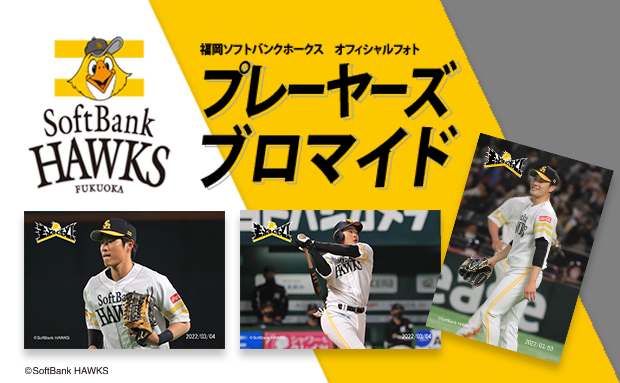 22年度 福岡ソフトバンクホークス プレイヤーズブロマイド セブン イレブン 近くて便利