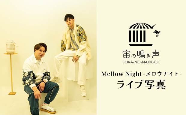 宙の鳴き声 Mellow Night-メロウナイト- ライブ写真