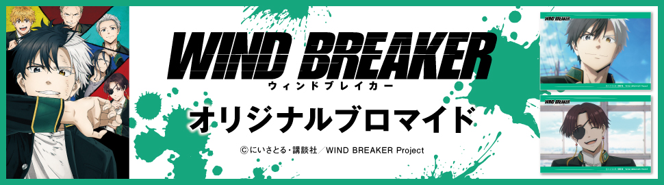 TVアニメ「WIND BREAKER（ウィンドブレイカー）」 オリジナルブロマイド