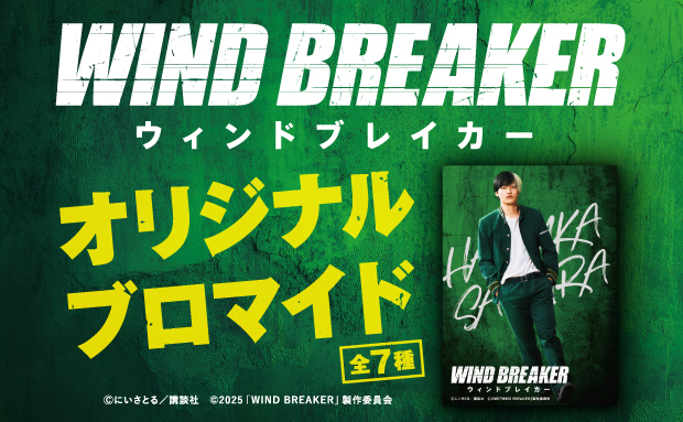 映画『WIND BREAKER/ウィンドブレイカー』オリジナルブロマイド