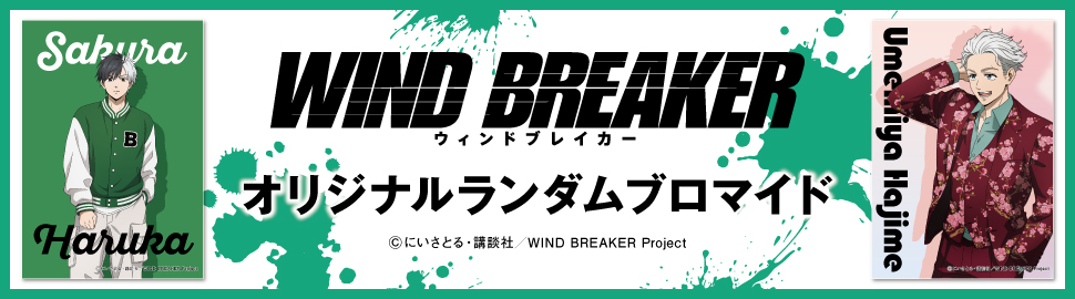 TVアニメ「WIND BREAKER（ウィンドブレイカー）」オリジナルランダムブロマイド