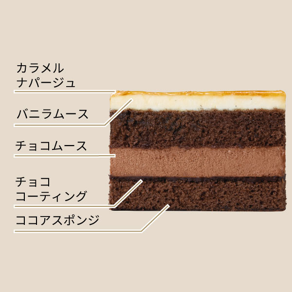 イメージ カラメルナパージュ バニラムース チョコムース チョココーティング ココアスポンジ