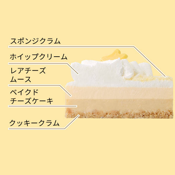 イメージ スポンジクラム ホイップクリーム レアチーズムース ベイクドチーズケーキ クッキークラム
