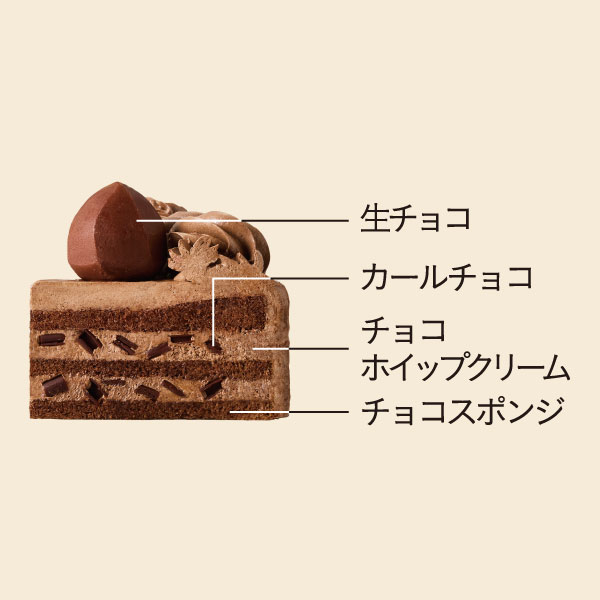 イメージ 生チョコ カールチョコ チョコホイップクリーム チョコスポンジ