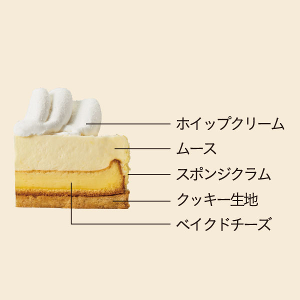イメージ ホイップクリーム ムース スポンジクラム クッキー生地 ベイクドチーズ