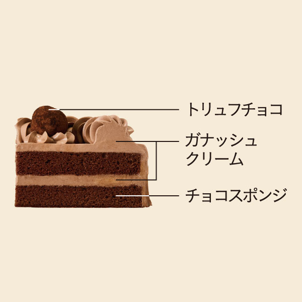 イメージ トリュフチョコ ガナッシュクリーム チョコスポンジ